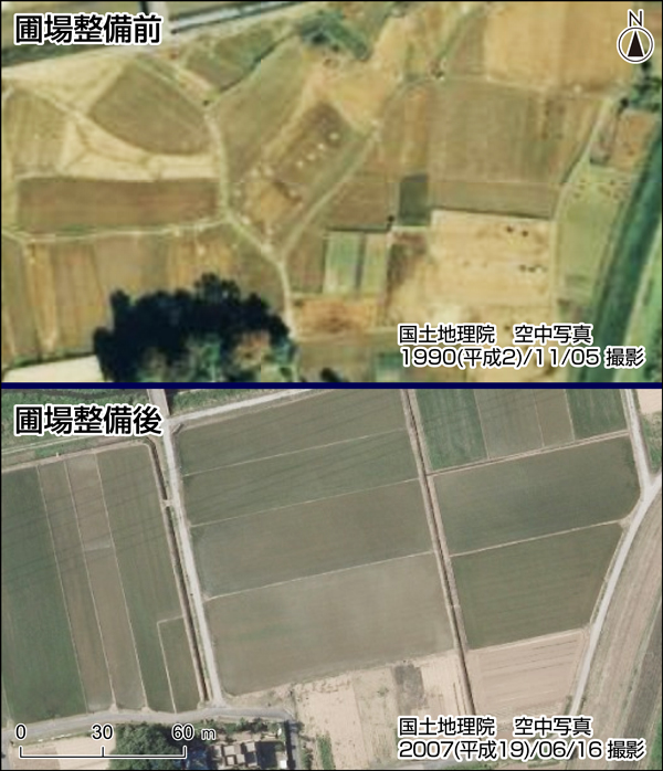 圃場整備前後